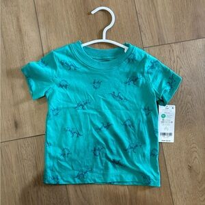 Dinosaur 12m t shirt